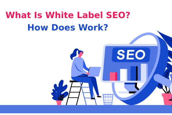 Whitelabel SEO