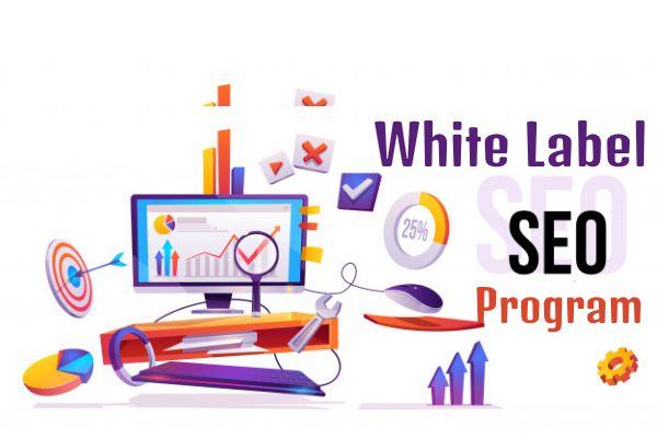 White Label SEO Program